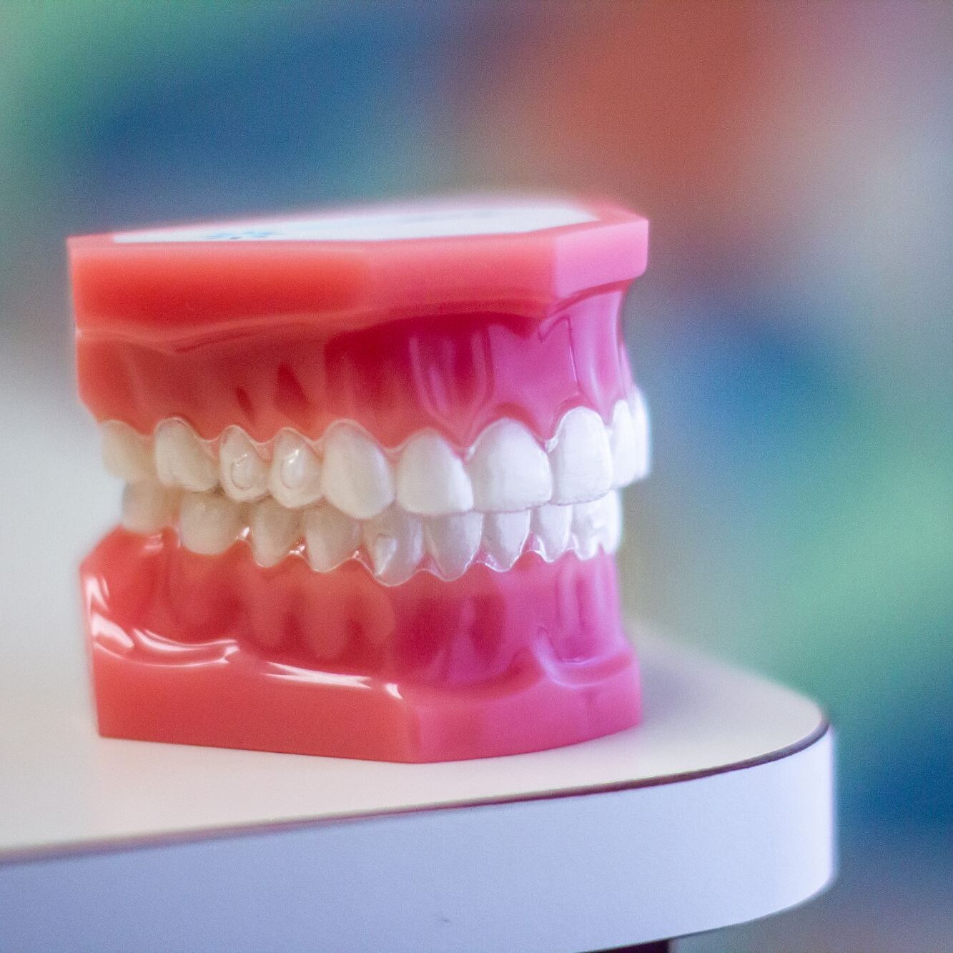 rome ga braces
